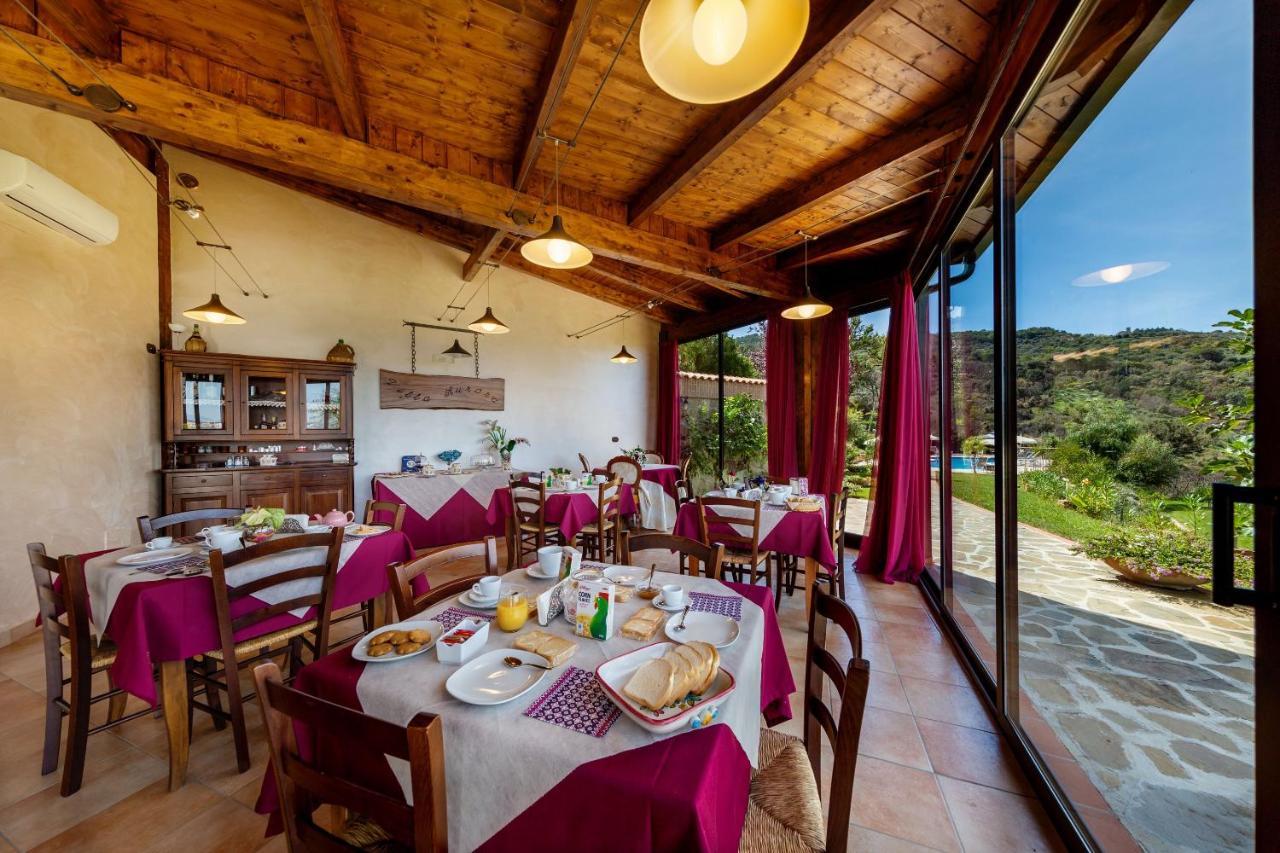 Casa Vacanza Villa Aurora Laureana Cilento Dış mekan fotoğraf